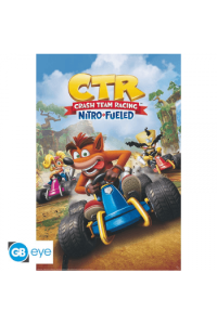 Crash Team Racing - Poster Cover  (91.5X61)