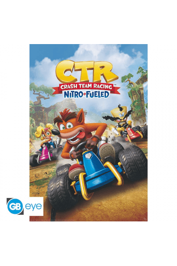 Crash Team Racing - Poster Cover  (91.5X61) - slika proizvoda