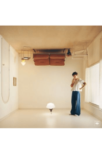 Harrys House (yellow)