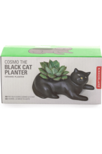 Cosmo the Black Cat Planter