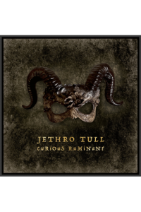 Jethro Tull - Curious Ruminant (special digipack edition) CD - omot