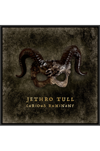 Jethro Tull - Curious Ruminant (special digipack edition) CD - omot