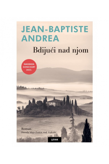 Bdijući nad njom - naslovnica
