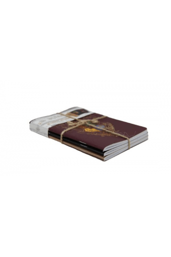 Blue Sky Harry Potter A6 Notebooks 3pk - Colourful Crest - slika proizvoda