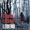 Ledeno dijete - naslovnica