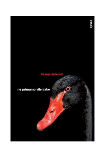 Ne primamo vilenjake - naslovnica