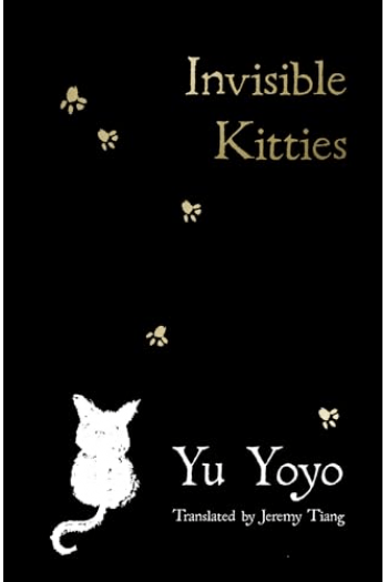Invisible Kitties - naslovnica