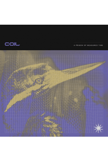 Coil - A Prison of Measured Time LP - omot