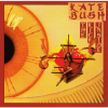 Kate Bush - Kick Inside LP - omot