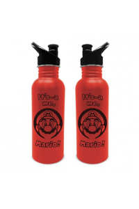 Pyramid Nintendo (Mario) Metal Canteen Bottle - slika proizvoda