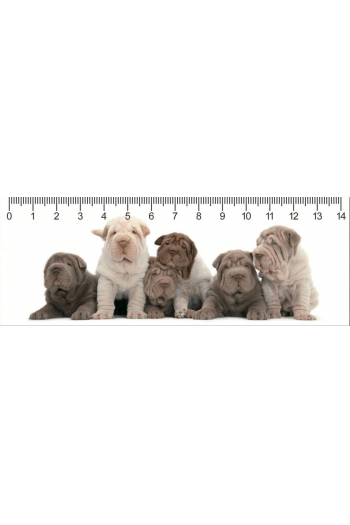 SHAR PEI PARTY - slika proizvoda