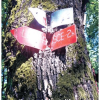88f17d20-bc42-4108-a0db-d3d7d50a4850.png