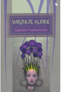 Smrznute kupine