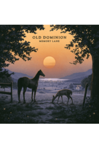Old Dominion - Memory Lane CD - omot