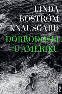 Dobrodošli u Ameriku - naslovnica