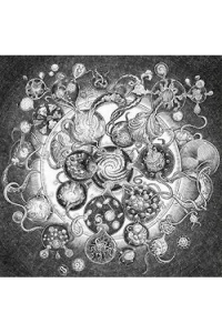 Long Distance Calling