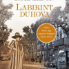 Labirint duhova - naslovnica