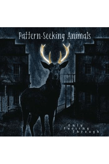 Pattern-Seeking Animals - Only Passing Through LP + CD - omot