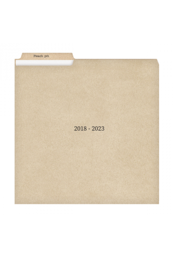 Peach Pit 2 - 2018-2023 LP - omot