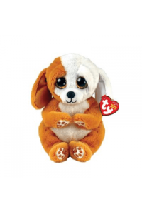 Pliš BBoos Ruggles - smeđe bijeli pas, reg