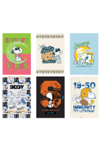 Teka meki uvez A4 crte 40L 80g Snoopy - slika proizvoda