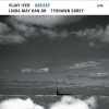Vijay Iyer - Uneasy LP - omot