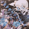 Shins, The - The Worms Heart LP - omot