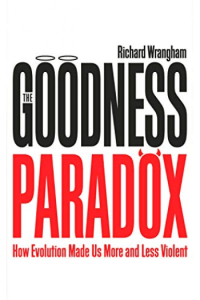 The Goodness Paradox - naslovnica