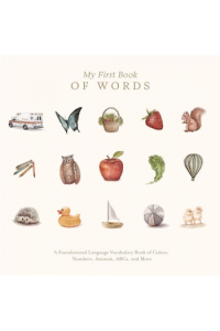 Our Big Book Of First Words (Slikovnica) - naslovnica