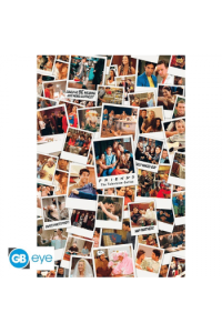 Friends - Poster Maxi 91.5X61 - Polaroids - slika proizvoda