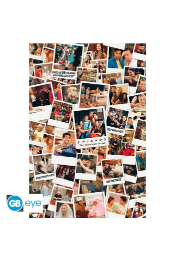 Friends - Poster Maxi 91.5X61 - Polaroids - slika proizvoda
