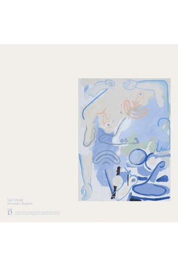 Devendra Banhart - Vast Ovald (White) LP - omot