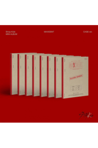Stray Kids - Maxident (Case Version) - Han Version CD - omot