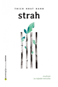Strah (Plt)