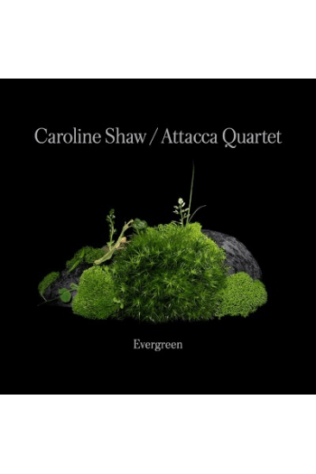 Caroline Shaw and Attacca Quartet - Evergreen CD - omot
