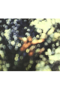 Pink Floyd - Pink Floyd / Obscured By Clouds RM CD - omot
