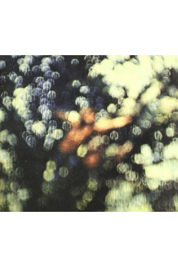Pink Floyd - Pink Floyd / Obscured By Clouds RM CD - omot