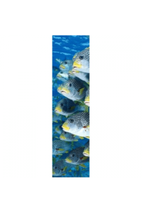 3D Bookmark Sweetlips (Fish)