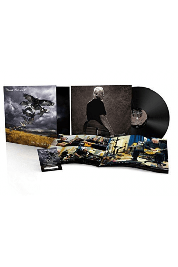 David Gilmour - Rattle That Lock  (+mp3 download code) LP - omot