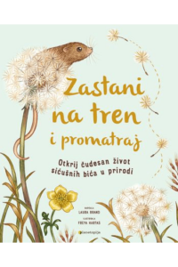 Zastani na tren i promatraj (Slikovnica) - naslovnica
