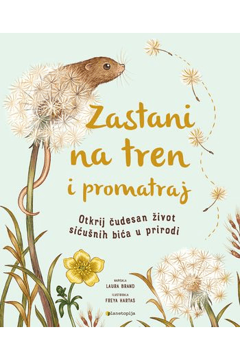 Zastani na tren i promatraj (Slikovnica) - naslovnica