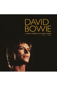 A New Career in a New Town (1977-1982)