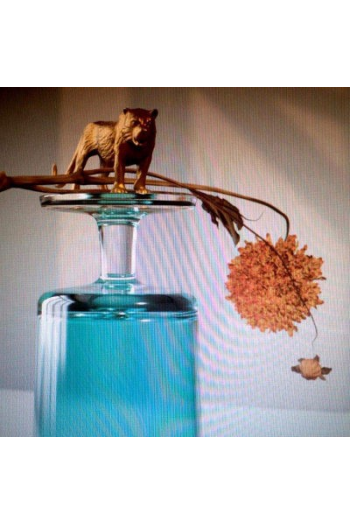 Beirut - Gallipoli LP - omot