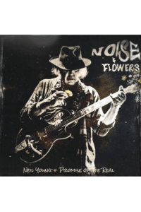 Noise And Flowers