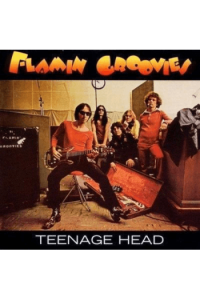 Flamin' Groovies - Teenage Head CD - omot