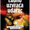 Ludilo uzvraća udarac 2.izdanje - naslovnica