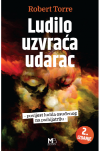 Ludilo uzvraća udarac 2.izdanje - naslovnica