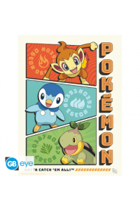 Pokemon - Portfolio 9 Posters Starters (219,7) - slika proizvoda