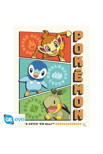 Pokemon - Portfolio 9 Posters Starters (219,7) - slika proizvoda