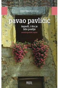 Šapudl, i što je bilo poslije (autobiografski zapisi) - naslovnica